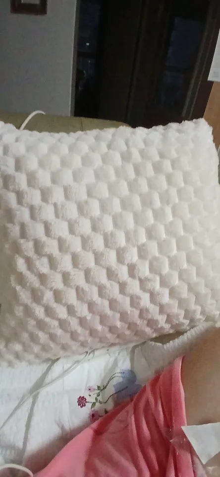 Cozy Cream Pineapple Turtle Plush Pillowcase for Home Decor photo review