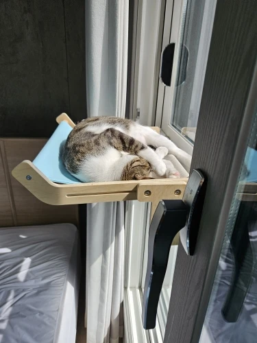 Cozy Cat Hammock with Window View & Wooden Stand photo review