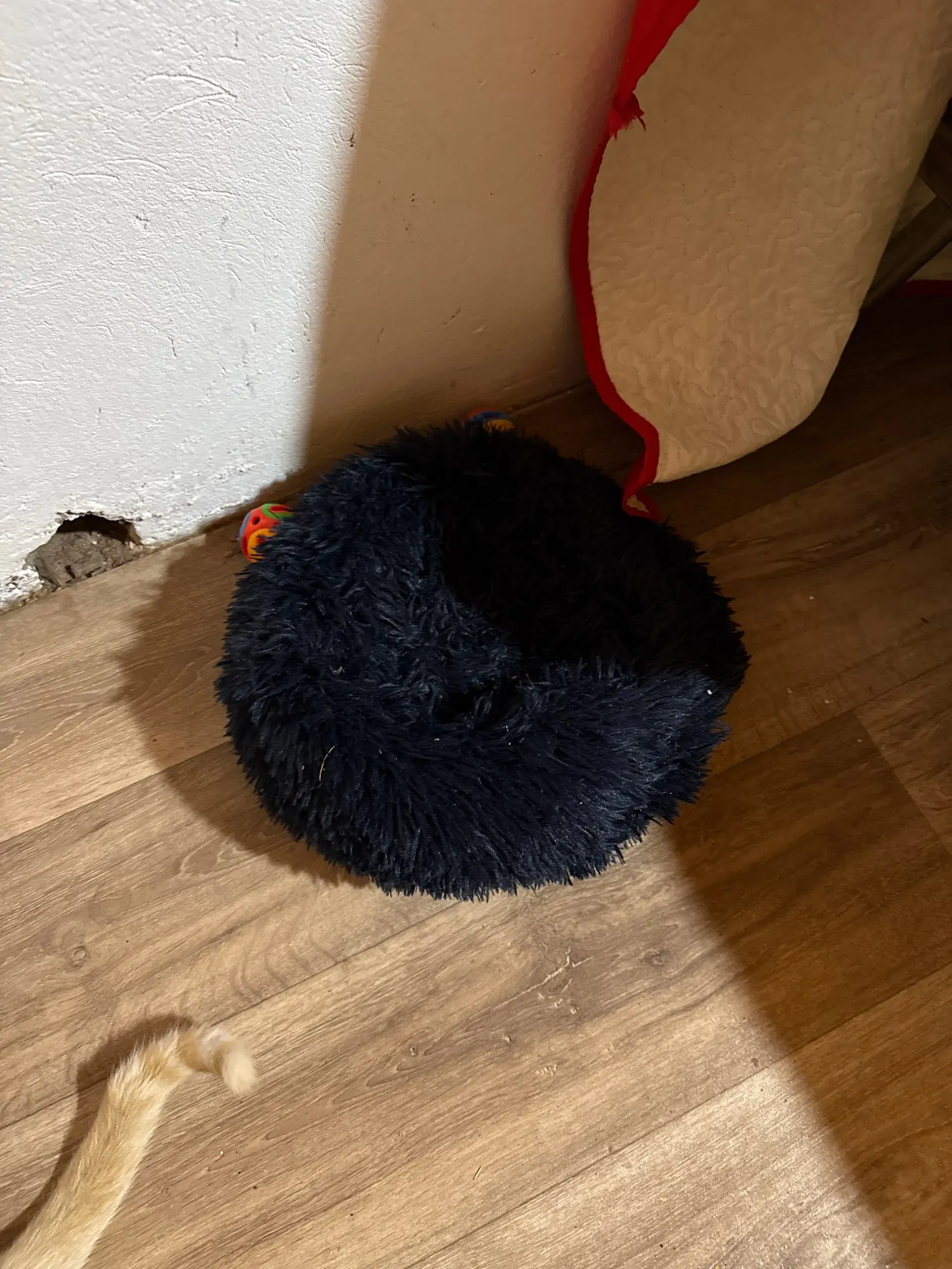 Home Plush Pet Nest Winter Cat Nest Dog Nest Warm Detachable and Washable Round Cat Nest Pet Bed Seasonal Universal Decoration photo review