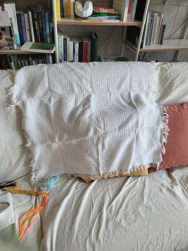 Versatile Cream Sofa Towel - All-Season Cotton Blanket Cover photo review