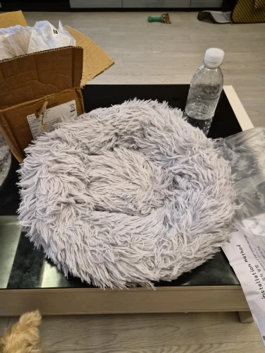 Cozy Plush Cat Bed for Ultimate Warmth & Comfort photo review