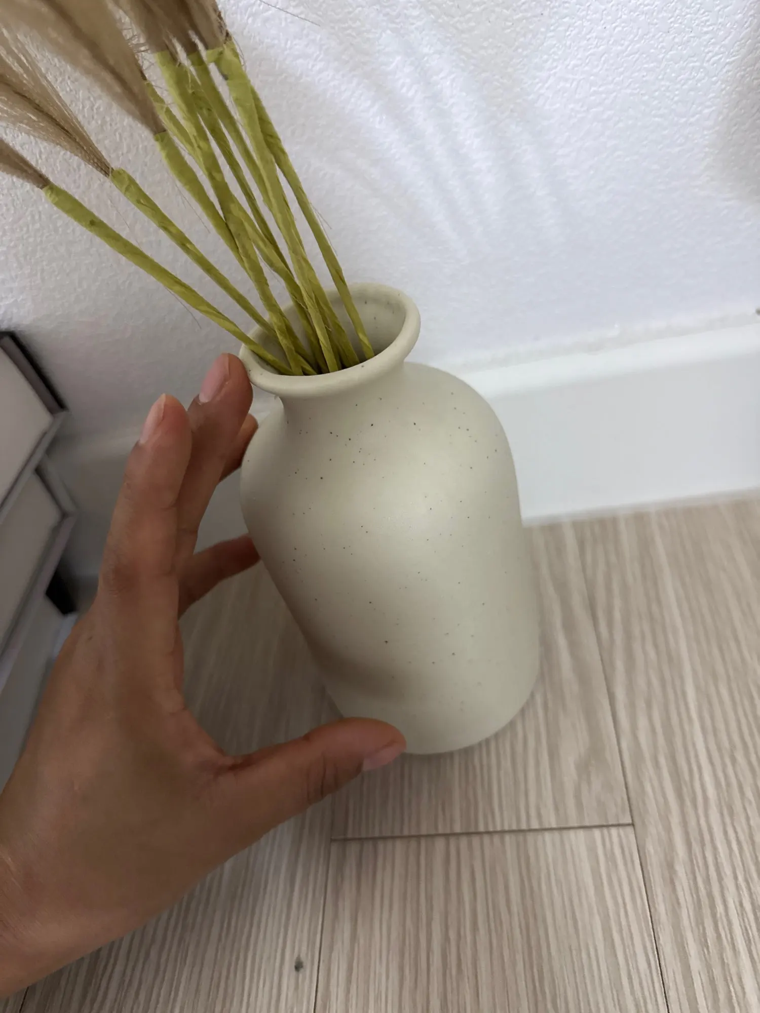 Nordic Minimalist Ceramic Vase for Elegant Home Decor photo review