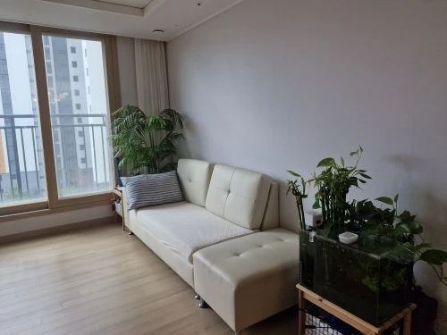 Elegant Jacquard Sofa Cover - Soft, Stretchy Protection for All Sofas photo review