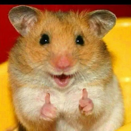 Flameless Remote-Control LED Candle Set for Cozy Events photo review