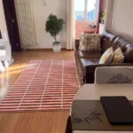French Style Carpets for Living Room Fluffy Soft Bedroom Decor Vintage Carpet Home Cloakroom Plush Floor Mat Non-slip Lounge Rug photo review