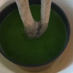 Lifelike Artificial Olive Tree for Timeless Home Elegance photo review