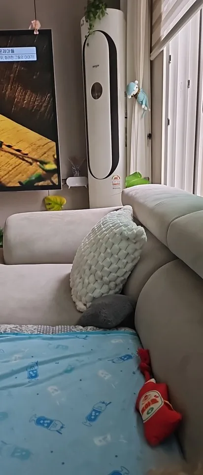 Cozy Cream Pineapple Turtle Plush Pillowcase for Home Decor photo review