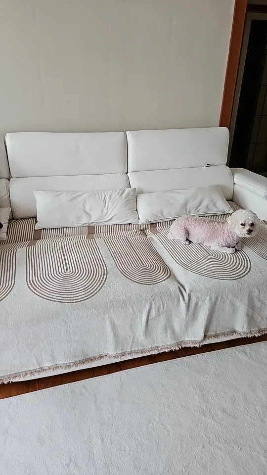 Chic Nordic Chenille Sofa Cover Set with Elegant Tassels photo review