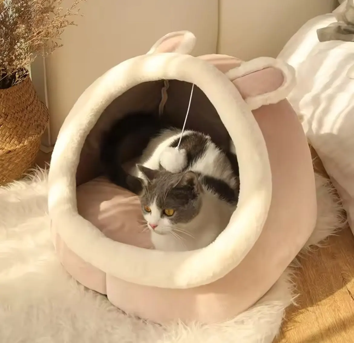 Cozy Cartoon Cat Bed: Removable, Washable, & Foldable Delight photo review