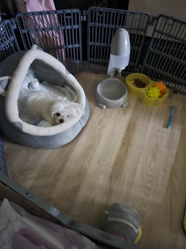 Cozy Cotton Cat Cave Bed - Warm & Comfortable Retreat photo review