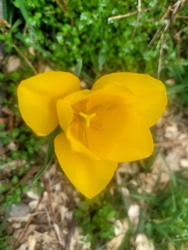 Luxurious 3-Piece Cobblestone Bath Mat Set - Non-Slip & Absorbent photo review