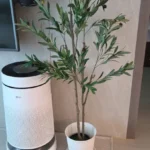 Lifelike Artificial Olive Tree for Timeless Home Elegance photo review