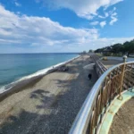 Cozy Bei Yu Pet Bed for Small & Large Dogs and Cats photo review