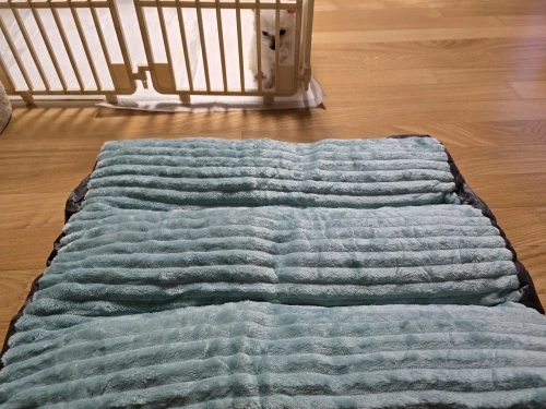 Cozy Corduroy Dog Bed - Detachable & Washable Comfort Mat photo review