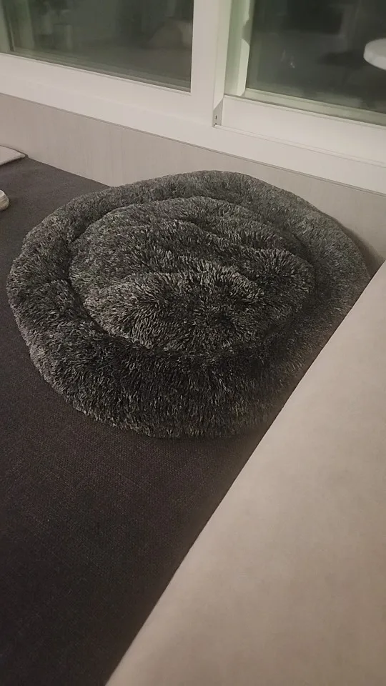 Cozy Round Pet Bed in Stylish Gradient for Large Dogs photo review