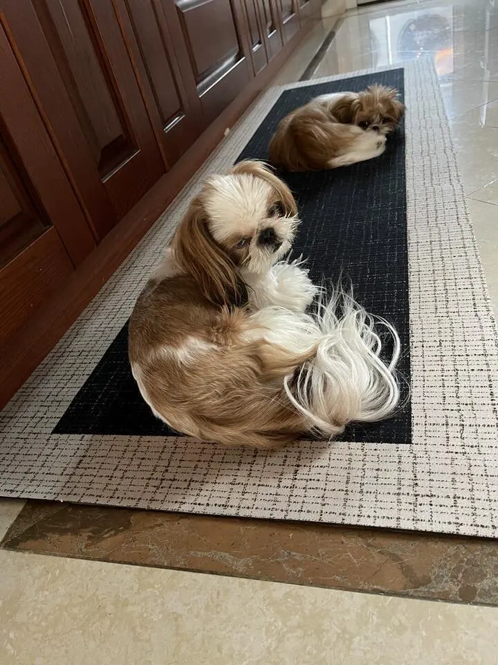 Rug for Kitchen Waterproof Floor Mat Pvc Leather Non-slip Foot Mats Oil-proof Long Carpet Solid Color Home Decoration Rugs 주방 카펫 photo review