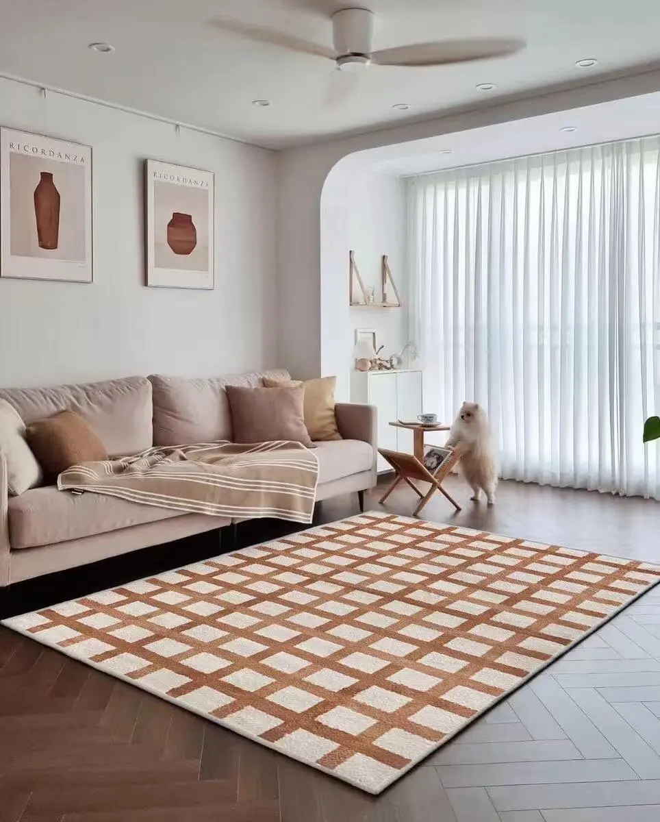 French Style Carpets for Living Room Fluffy Soft Bedroom Decor Vintage Carpet Home Cloakroom Plush Floor Mat Non-slip Lounge Rug photo review