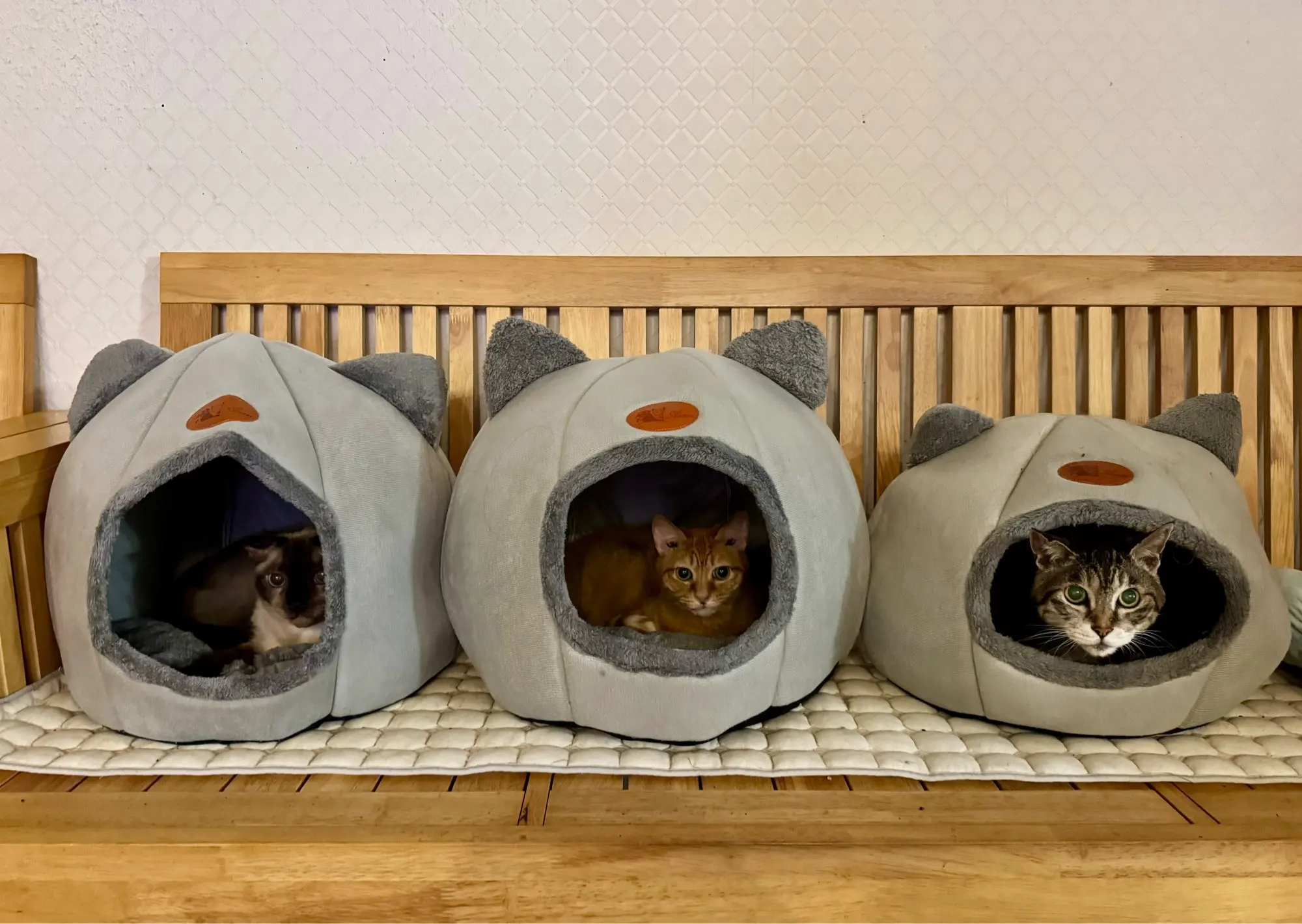 Cozy Cotton Cat Cave: Ultimate Winter Pet Bed Retreat photo review