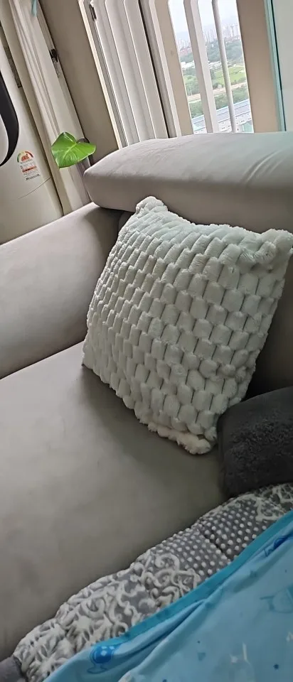 Cozy Cream Pineapple Turtle Plush Pillowcase for Home Decor photo review