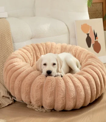 Oasin 55 &Bull; Kf S06Cf0713F939490Cab5Eee97E97D54C2S &Bull; Oasin