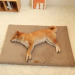 Orthopedic 3 D Foam Dog Bed with Washable Cover & Anti-Slip Base - Image 2