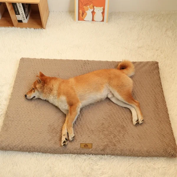 Orthopedic 3 D Foam Dog Bed with Washable Cover & Anti-Slip Base