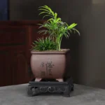 Purple Clay Flower Pot Small Tree Old Pile Breathable Lacape Pot Living Room Orchid Flowering Plant Succulent Tray Included - Image 4