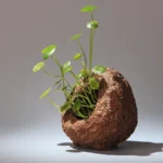 Breathable Cerc Succulent Planter Square Large Hole Creative Fine Porous Clay Pot Chinese Sle Home Decoration Flower Vase - Image 3