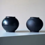 Sleek Matte Black Cerc Hydroponic Vase for Elegant Decor