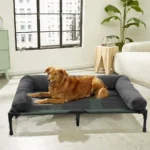 Ultimate XXL Raised Dog Bed with Cooling Plush Comfort