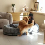 Giant 170 CM Orthopedic Dog Bed - Plush & Washable Comfort