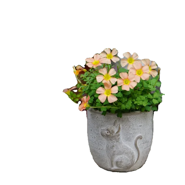 Charming Bird Cement Planters - Whimsical Succulent Pots