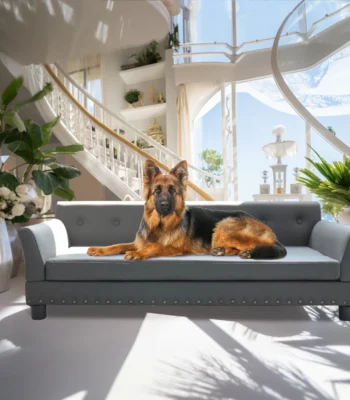 &Bull; Kf S320448E5E213477Ea9Aaf0F3Fccb41A32 &Bull; Oasin