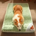 Machine Washable Dog Bed Removable Orthopedic Puppy Cushion Winter Memory Foam Dog Pillow For Small Medium Large Dogs And Cats - Image 5