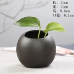elegant-black-round