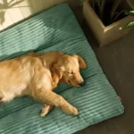 Cozy Corduroy Dog Bed - Detachable & Washable Comfort Mat - Image 2