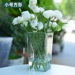 transparent-square-trumpet