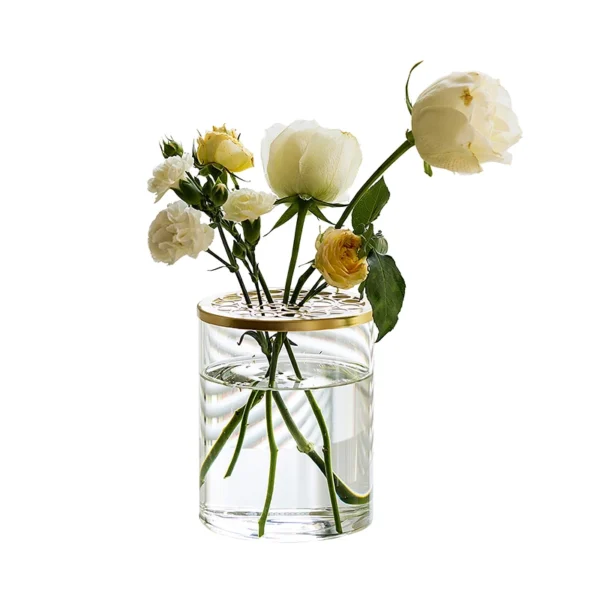 Nordic Minimalist Transparent Glass Vase for Elegant Plant Display