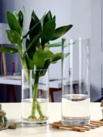 Thiened Glass Bottle Home Decorative Items Large Size Straight Tube Flower Vase Living Room Decorations for Wealth Bamboo A... - Image 3