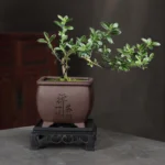 Purple Clay Flower Pot Small Tree Old Pile Breathable Lacape Pot Living Room Orchid Flowering Plant Succulent Tray Included
