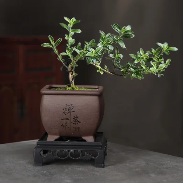 Purple Clay Flower Pot Small Tree Old Pile Breathable Lacape Pot Living Room Orchid Flowering Plant Succulent Tray Included