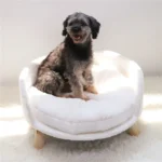 Luxurious Cotton Elevated Pet Sofa Bed with Waterproof Cushion - Image 2