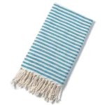 light-blue