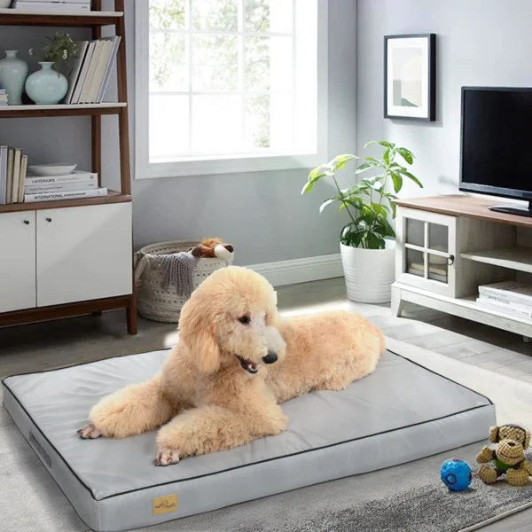 Waterproof Foam Dog Bed: Cozy Lounge for All Sizes