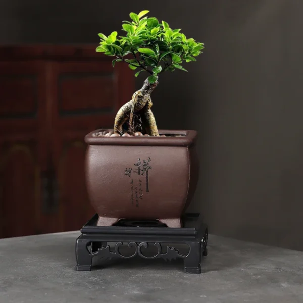 Breathable Purple Clay Flower Pot for Orchids & Succulents