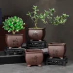 Purple Clay Flower Pot Small Tree Old Pile Breathable Lacape Pot Living Room Orchid Flowering Plant Succulent Tray Included - Image 3