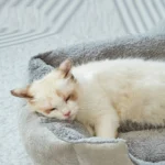 Cozy Square Cat Nest: Anti-Skid Comfort for Feline Bliss - Image 5