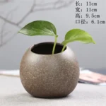 brown-round