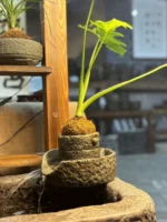 Retro Water Cultivation Ornament Stone Mill Tea Pet Folk Sle Fi Tank Birthday Gift Living Room Decorative Accories