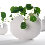 Modern White Ceramic Egg Shell Vase, Vegetarian Art Flower Pot, Home Desktop Decoration Ornaments, Crafts Gift - Image 4